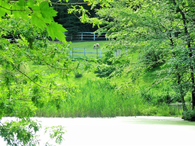 10 S Mountain Pond, Garrison, NY 10524 - view of yard