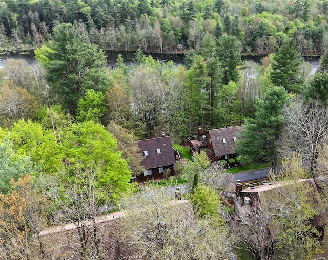5 Water Lilly Ln, Monticello, NY 12701 - view from above of property with a forest and a nearby body of water