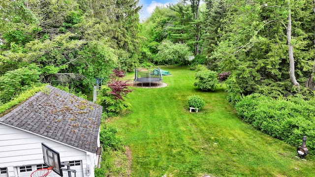 8 Townsend Blvd, Poughkeepsie, NY 12603 - view of green lawn with a trampoline
