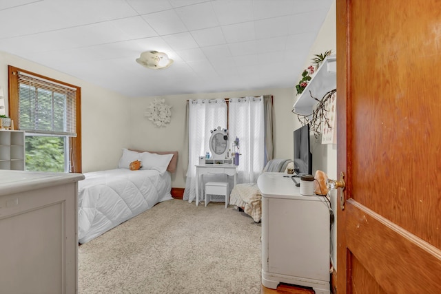 8 Townsend Blvd, Poughkeepsie, NY 12603 - bedroom featuring carpet floors