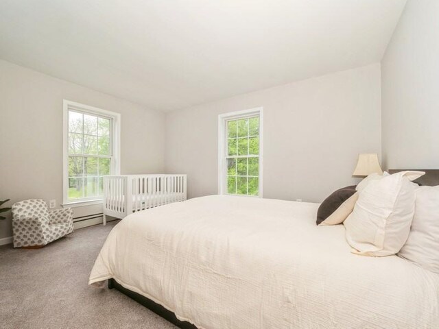 3 Rose Dr, Kerhonkson, NY 12446 - photo 19