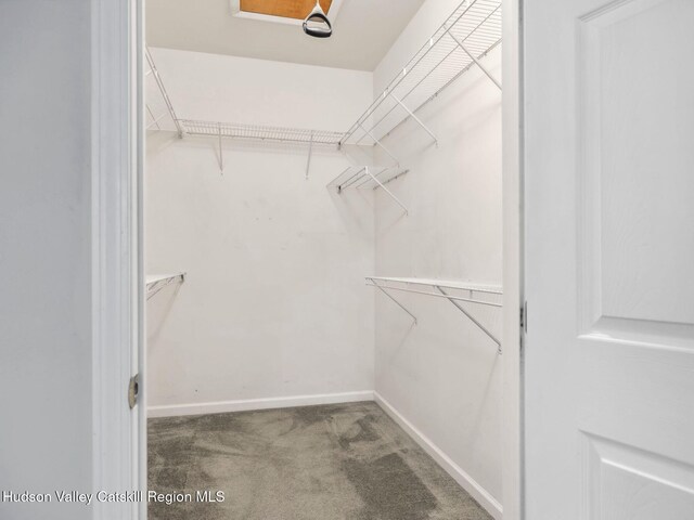 212 Commons Ln, Saugerties, NY 12477 - walk in closet featuring carpet