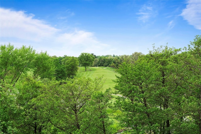80 E Hartsdale Ave Unit 520, Hartsdale, NY 10530 - view of nature
