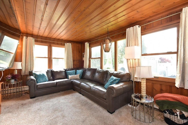 186 E Chester St, Valley Stream, NY 11580 - carpeted living area with wood ceiling, wood walls, and a baseboard radiator