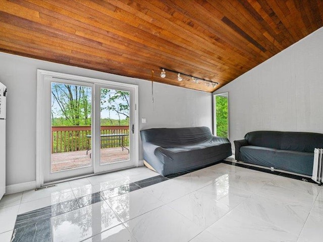 36 Starr Ave, Monticello, NY 12701 - sitting room with wooden ceiling, track lighting, vaulted ceiling, marble finish flooring, and baseboards