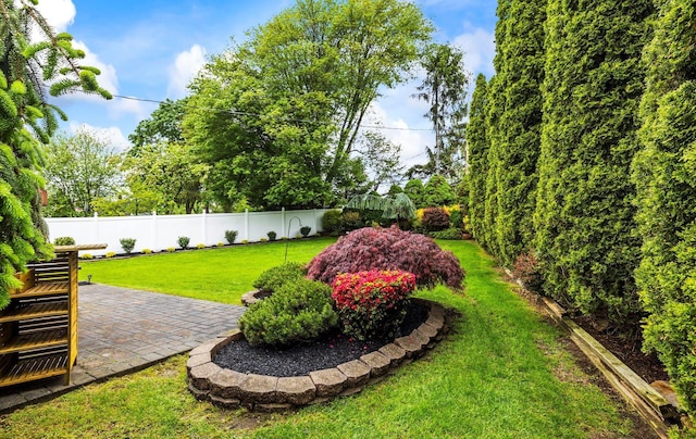 19 Walter Ct, Commack, NY 11725 - view of yard with a patio area