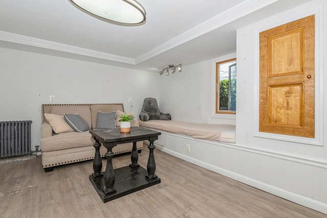 722 Shenandoah Ave, Peekskill, NY 10566 - living room with radiator, light wood finished floors, crown molding, and baseboards