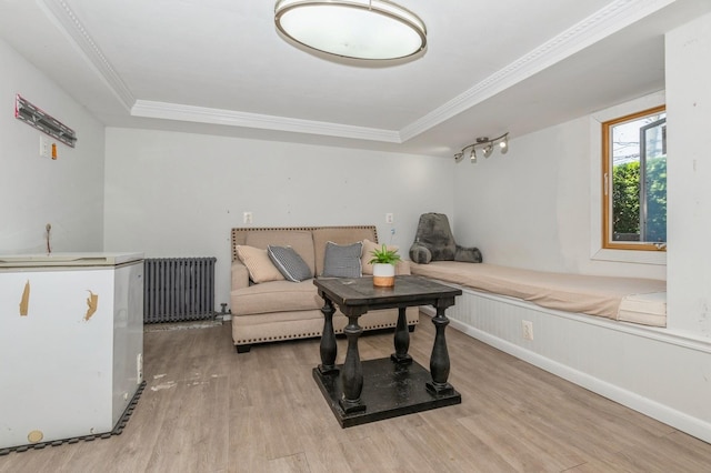 722 Shenandoah Ave, Peekskill, NY 10566 - living area featuring radiator, wood finished floors, crown molding, and a raised ceiling