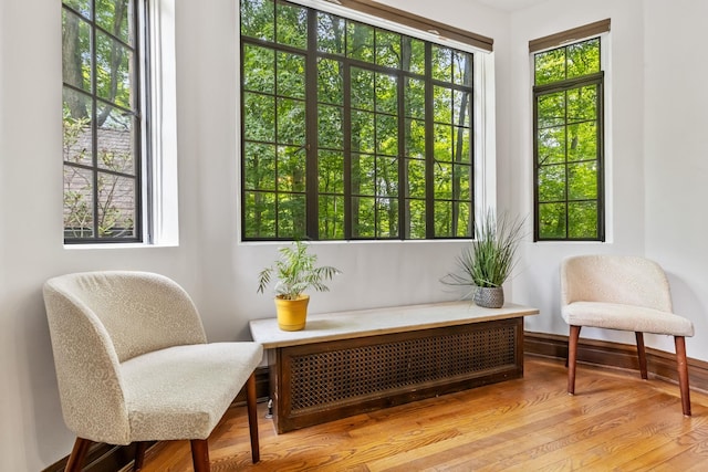 100 Mount Airy Rd S, Croton-On-Hudson, NY 10520 - sitting room with light wood-type flooring and radiator