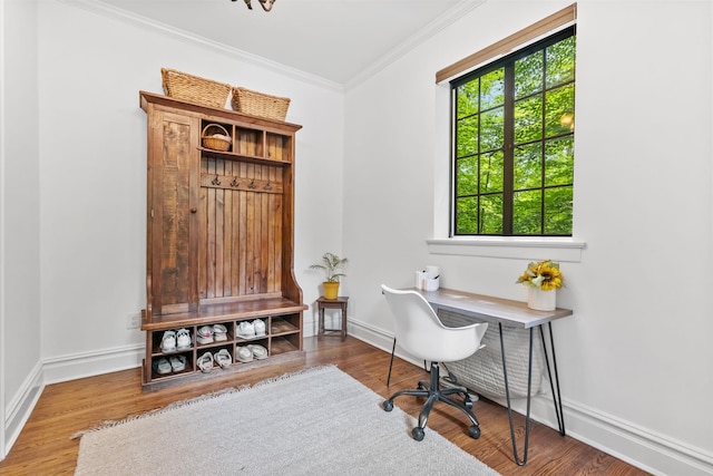 100 Mount Airy Rd S, Croton-On-Hudson, NY 10520 - office space featuring ornamental molding, wood finished floors, and baseboards