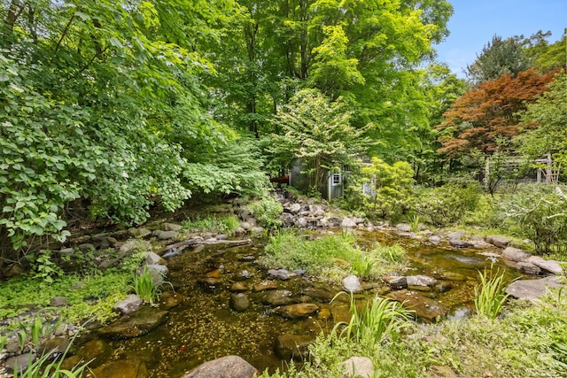 100 Mount Airy Rd S, Croton-On-Hudson, NY 10520 - view of local wilderness