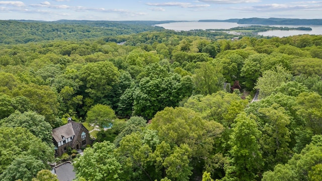 100 Mount Airy Rd S, Croton-On-Hudson, NY 10520 - drone / aerial view of a heavily wooded area and a nearby body of water