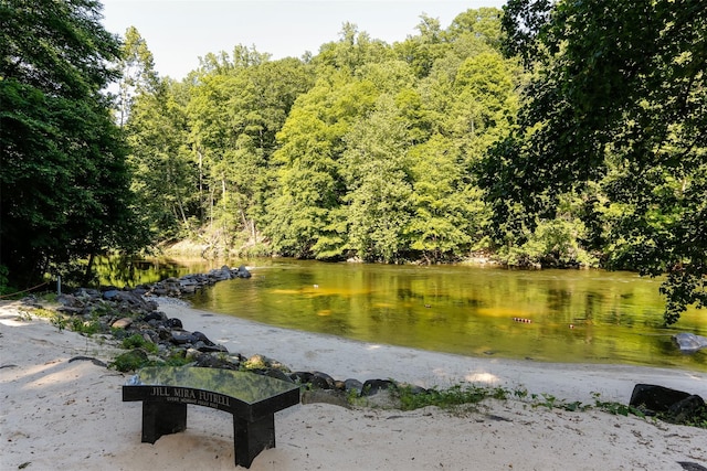 100 Mount Airy Rd S, Croton-On-Hudson, NY 10520 - water view featuring a forest