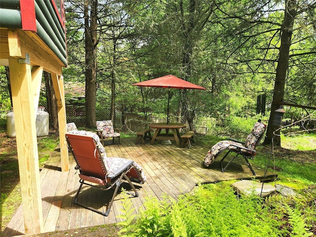91 W Oak St, Smallwood, NY 12778 - photo 23