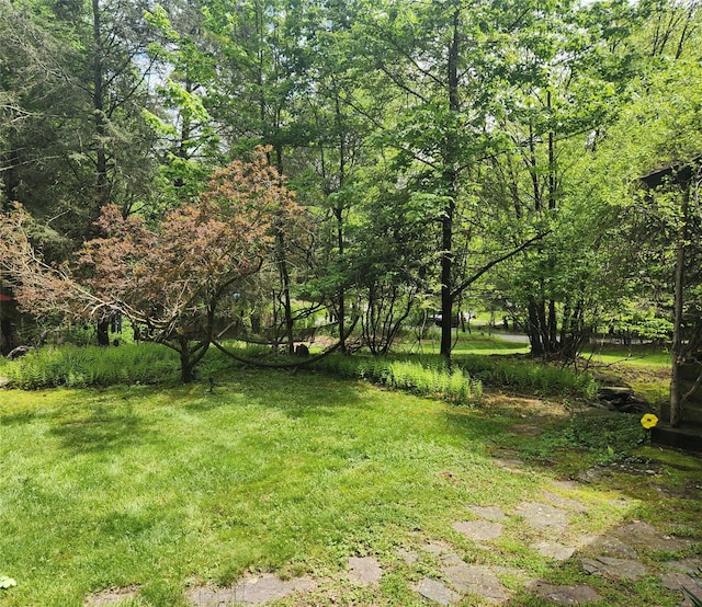 91 W Oak St, Smallwood, NY 12778 - photo 27