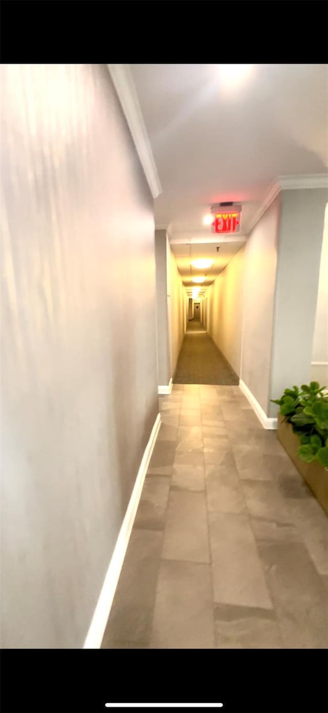 10 Ipswich Ave Unit 4M, Great Neck, NY 11021 - hall with crown molding and baseboards