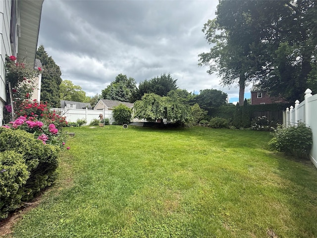 31 Stevenson Ave, Hartsdale, NY 10530 - view of yard
