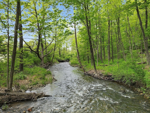 6843 Rte 55, Wingdale, NY 12594 - water view