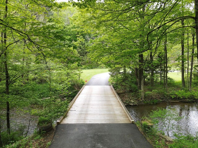 6843 Rte 55, Wingdale, NY 12594 - view of property's community featuring a wooded view and a water view