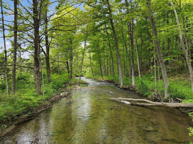 6843 Rte 55, Wingdale, NY 12594 - water view