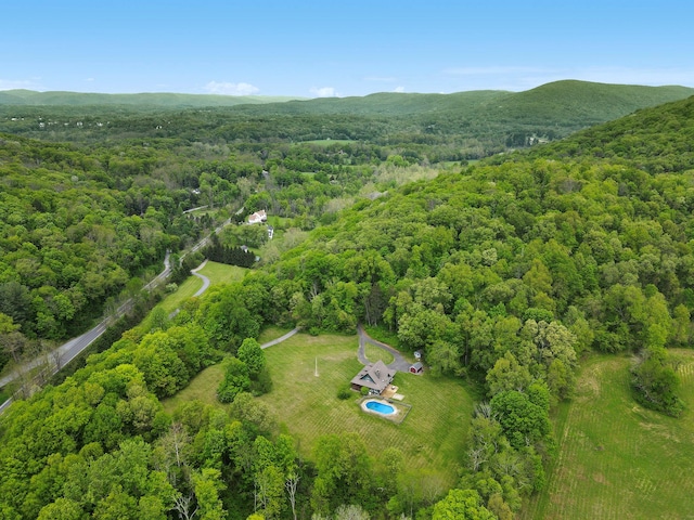 6843 Rte 55, Wingdale, NY 12594 - bird's eye view of a forest