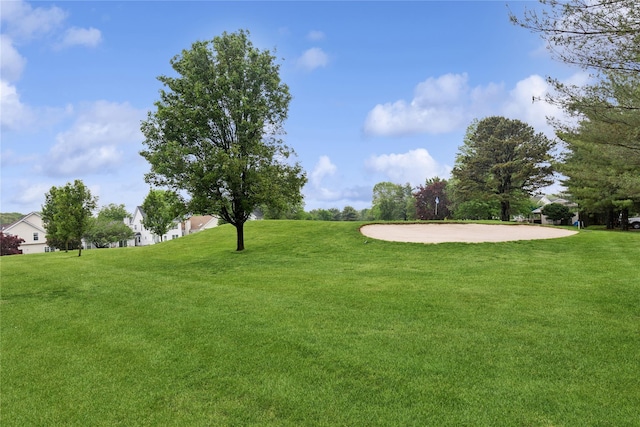 552 Birchwood Park Dr, Middle Island, NY 11953 - view of grassy yard
