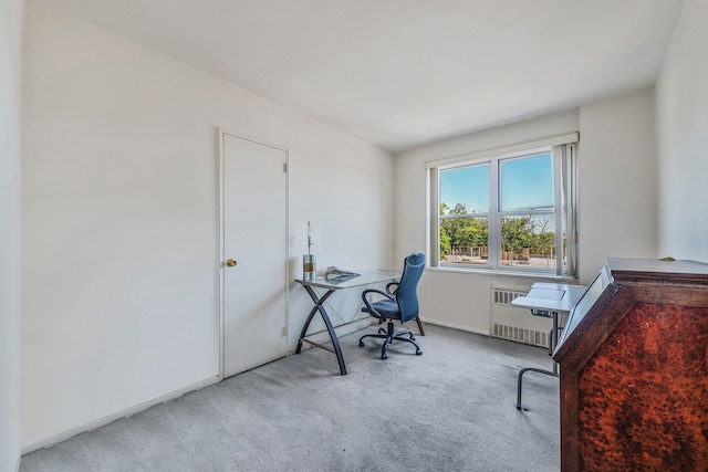 190 W Merrick Rd Unit 4E, Freeport, NY 11520 - carpeted office with radiator