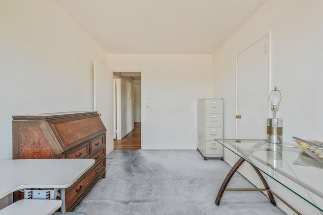 190 W Merrick Rd Unit 4E, Freeport, NY 11520 - office featuring light carpet