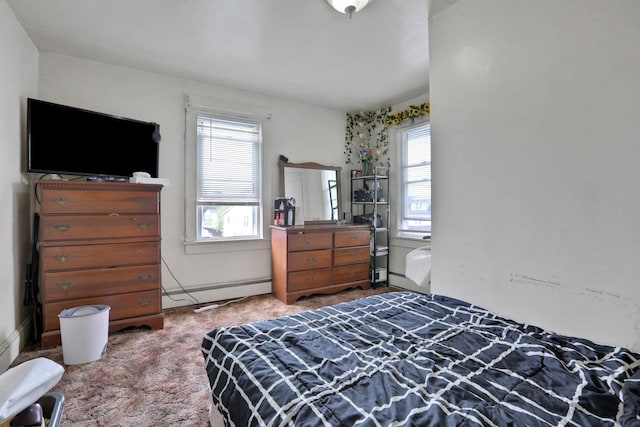100 Harwich St, Kingston, NY 12401 - bedroom featuring baseboard heating and carpet floors