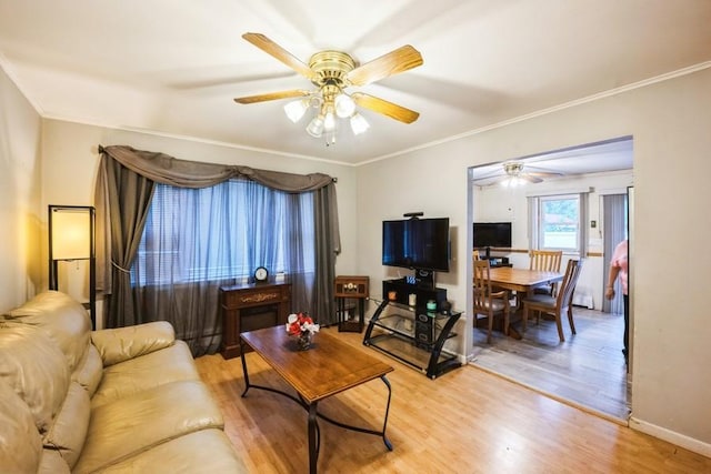living room with ceiling fan, light wood-type flooring, crown molding, and baseboards