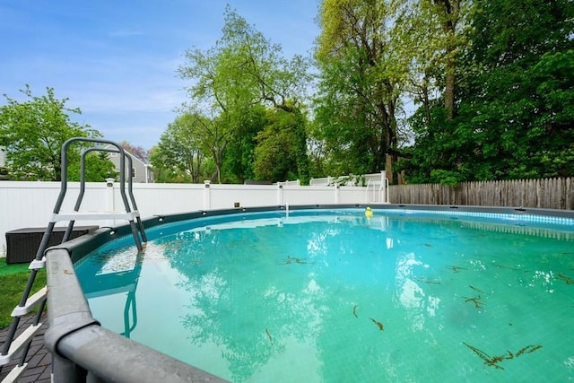 view of swimming pool with a fenced backyard