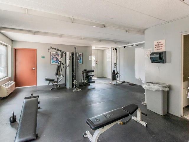 10813 Seaview Ave Unit 41B, Brooklyn, NY 11236 - gym with a wall mounted AC