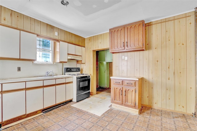 8 Van Siclen Ave, Brooklyn, NY 11207 - kitchen with range with gas stovetop, under cabinet range hood, light countertops, wood walls, and light floors