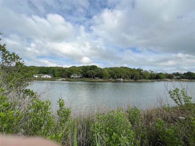 water view featuring a heavily wooded area