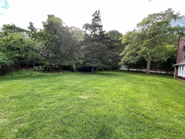 view of grassy yard
