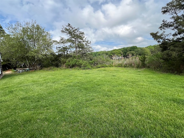 view of green lawn