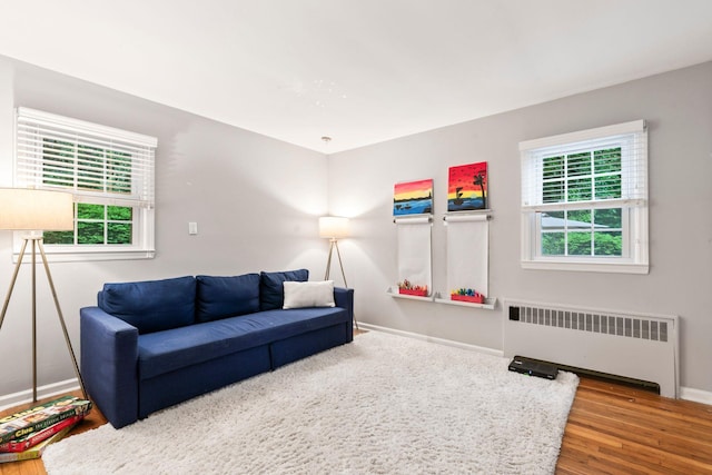 living area featuring radiator, baseboards, and wood finished floors