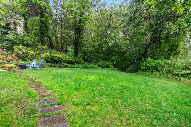 view of green lawn