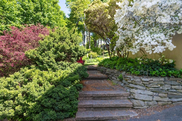 10 Falcon Pl, Huntington, NY 11743 - view of yard