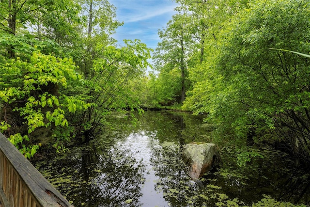 17 Stonegate Dr, Hyde Park, NY 12538 - water view with a heavily wooded area
