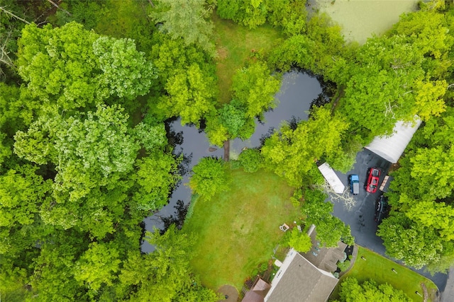 17 Stonegate Dr, Hyde Park, NY 12538 - aerial view