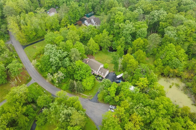 17 Stonegate Dr, Hyde Park, NY 12538 - aerial view