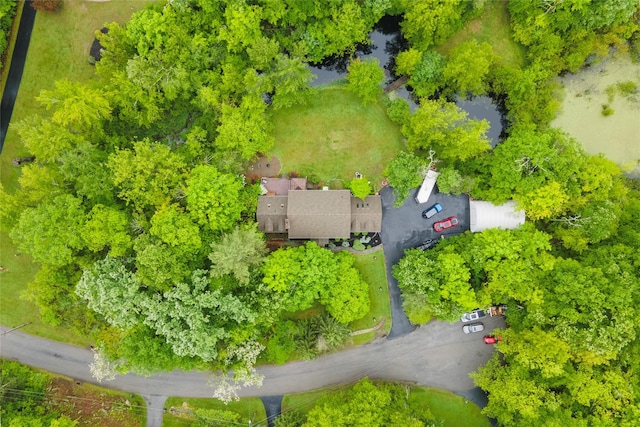 17 Stonegate Dr, Hyde Park, NY 12538 - bird's eye view