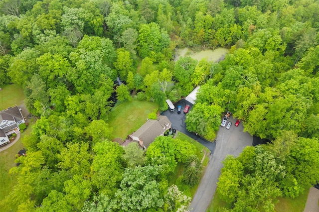17 Stonegate Dr, Hyde Park, NY 12538 - bird's eye view