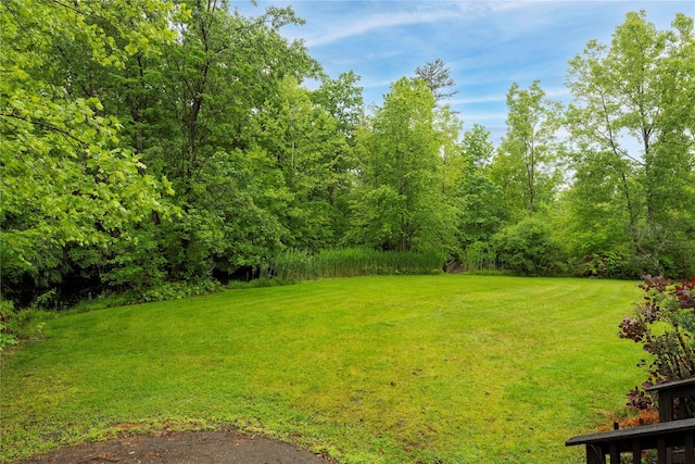 17 Stonegate Dr, Hyde Park, NY 12538 - view of grassy yard