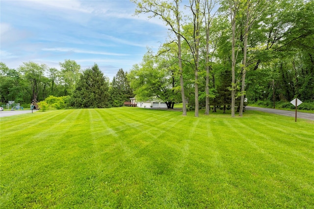 3 Sodano Rd, Hopewell Junction, NY 12533 - view of green lawn
