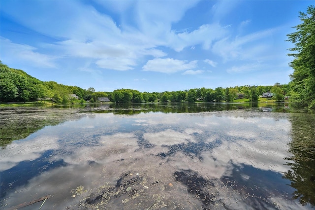 8 Clinton Ct, Monroe, NY 10950 - water view with a forest