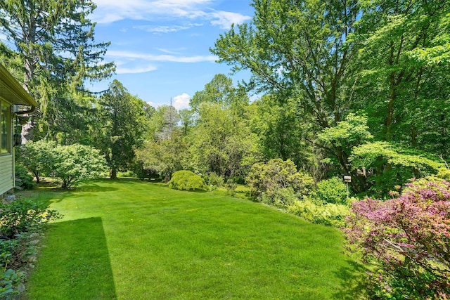 42 Raspberry Ln, Carmel, NY 10512 - view of green lawn