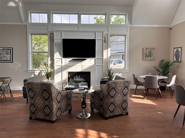 308 Breton Way Unit 308, Glen Cove, NY 11542 - living room with wood finished floors, a premium fireplace, baseboards, and lofted ceiling