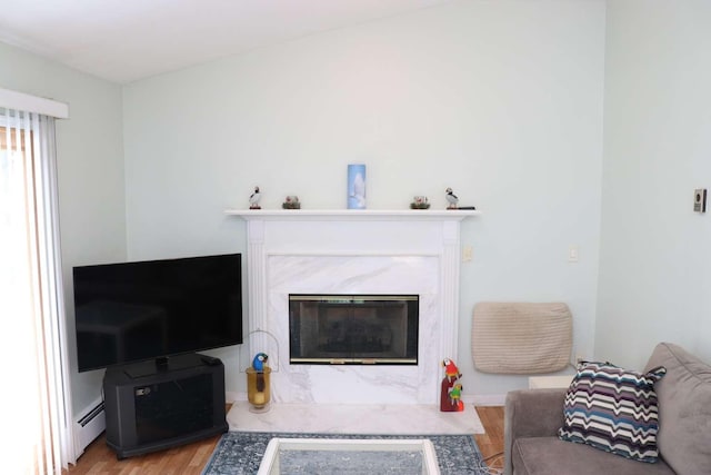 living area featuring wood finished floors, baseboard heating, and a premium fireplace